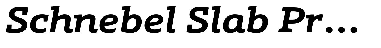 Schnebel Slab Pro Expanded Bold Italic